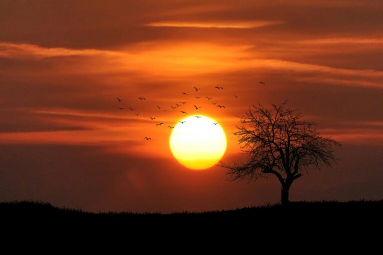 Slow evening